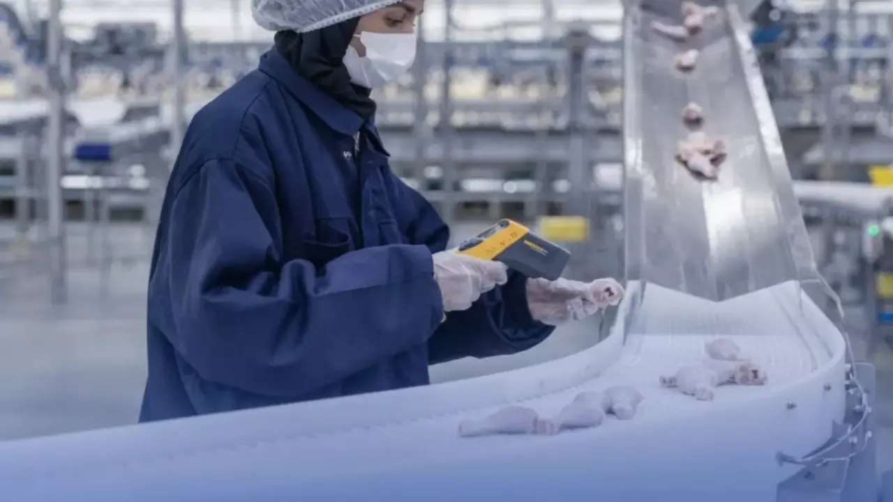 إنجاز تاريخي.. مزارع الدواجن السعودية تحقق إنتاجاً قياسياً يتجاوز مليون طن سنوياً